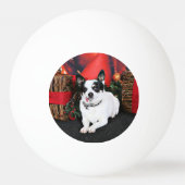 Kerstmis - Chihuahua X - Stella Pingpongballen (Voorkant)