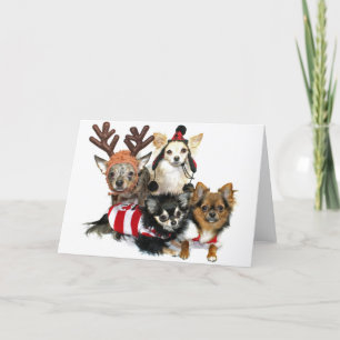 Kerstmis Chihuahuas Feestdagen Kaart
