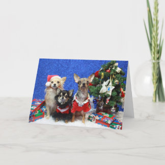 Kerstmis Chihuahuas Feestdagen Kaart