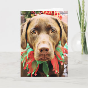 Kerstmis - Chocolate Labrador - Hershey Feestdagen Kaart