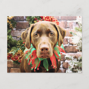 Kerstmis - Chocolate Labrador - Hershey Feestdagenkaart