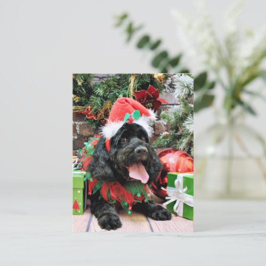 Kerstmis - Cockapoo - Jack Feestdagenkaart (Staand voorkant)