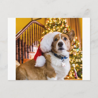 Kerstmis Corgi Feestdagenkaart