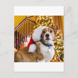 Kerstmis Corgi Feestdagenkaart