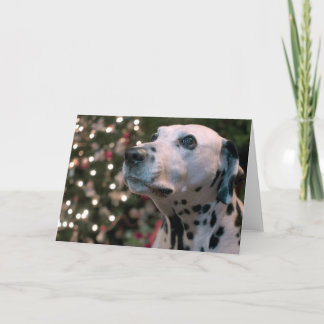 Kerstmis Dalmatian Feestdagen Kaart