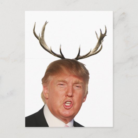 Kerstmis: Deer Mr. President Feestdagenkaart (Voorkant)