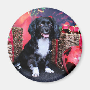 Kerstmis - Docker - Gigi Magneet