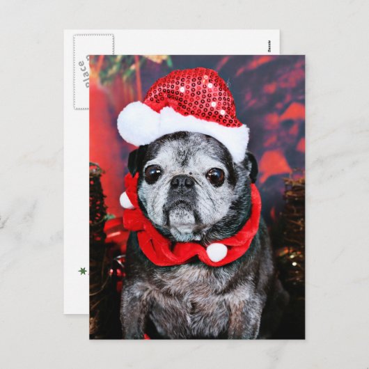 Kerstmis - Engel - Pug Feestdagenkaart (Voorkant / Achterkant)