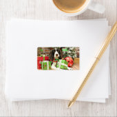 Kerstmis - Engels Springer Spaniel - Kinzie Etiket (Insitu)