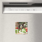 Kerstmis - Engels Springer Spaniel - Kinzie Magneet (Insitu (Vaatwasser))