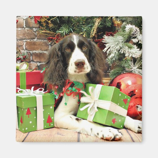 Kerstmis - Engels Springer Spaniel - Kinzie Magneet (Voorkant)