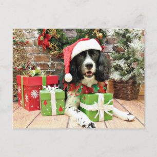 Kerstmis - English Springer Spaniel - Lucy Feestdagenkaart