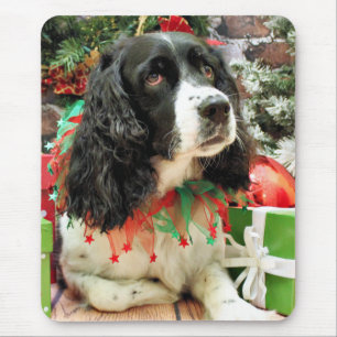 Kerstmis - English Springer Spaniel - Lucy Muismat