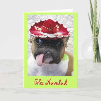 Kerstmis Feestdagen Kaart