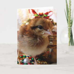 Kerstmis Feestdagen Kaart