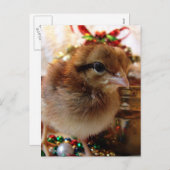 Kerstmis Feestdagenkaart (Voorkant / Achterkant)