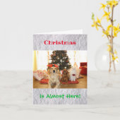 Kerstmis Funny Humor Dog Cat Pets Animals Kaart (Gele Bloem)