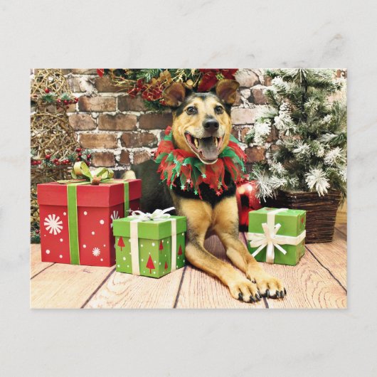 Kerstmis - German Shepherd X - Bailey Feestdagenkaart (Voorkant)