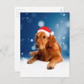 Kerstmis: Golden Retriever Dog Santa Hat Snow Feestdagenkaart (Voorkant / Achterkant)