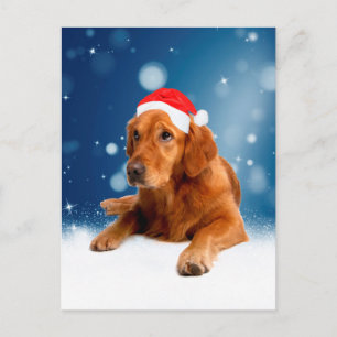 Kerstmis: Golden Retriever Dog Santa Hat Snow Feestdagenkaart