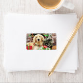 Kerstmis - Golden Retriever - Ozzy Etiket (Insitu)