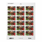 Kerstmis - Golden Retriever - Sidney Etiket (Full Sheet)