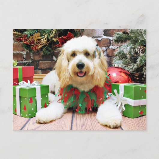 Kerstmis - GoldenDoodle - Mazey Feestdagenkaart (Voorkant)