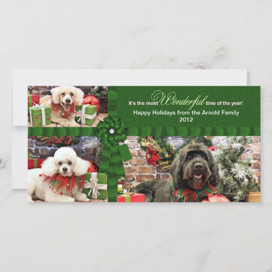 Kerstmis - GoldenDoodle Poedel Cockapoo - Arnold Feestdagenkaart (Voorkant)