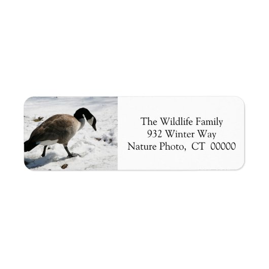 Kerstmis Goose Holiday Return Address Stickers (Voorkant)