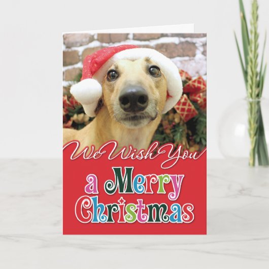 Kerstmis - Greyhound - Pena Feestdagen Kaart (Voorkant)