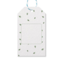 Kerstmis Groene dennenboom