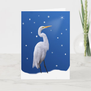 Kerstmis, Grote Aigrette en Ster Feestdagen Kaart