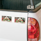 Kerstmis - Havanese - Mason Bumpersticker (Op Truck)