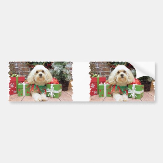 Kerstmis - Havanese - Mason Bumpersticker (Voorkant)