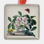 Kerstmis (Helleborus niger) en Winteraconi Metalen Ornament (Voorkant)