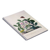 Kerstmis (Helleborus niger) en Winteraconi Notitieboek (Rechterzijde)