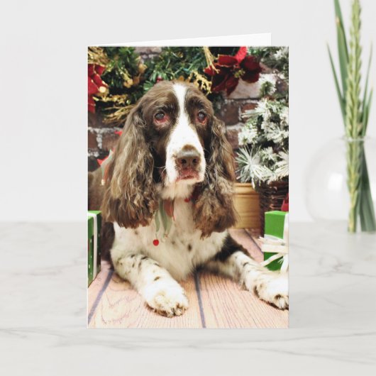 Kerstmis - het Engelse Spaniel van de Aanzetsteen Feestdagen Kaart (Voorkant)
