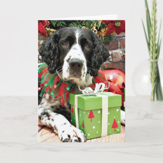 Kerstmis - het Engelse Spaniel van de Aanzetsteen Feestdagen Kaart (Voorkant)