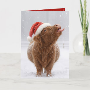 Kerstmis Hooglandkoe vangt sneeuwvlokken Kaart
