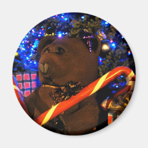 Kerstmis I van Teddys Magneet