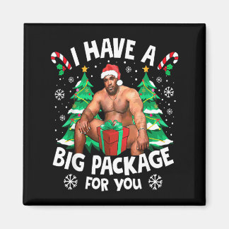 Kerstmis Ik Heb Een Groot Pakket Voor Jou Stoute G Magneet