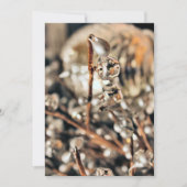 Kerstmis in discostijl kaart (Voorkant)