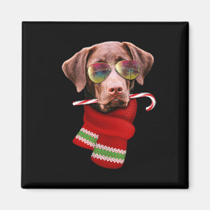Kerstmis in juli shirt Labrador zonnebril hond lie Magneet