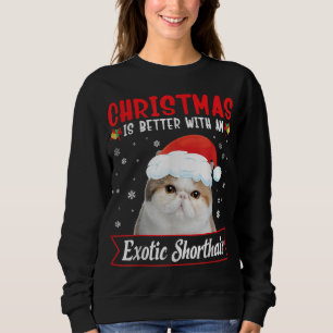 Kerstmis is beter met een exotische kortharige kat trui