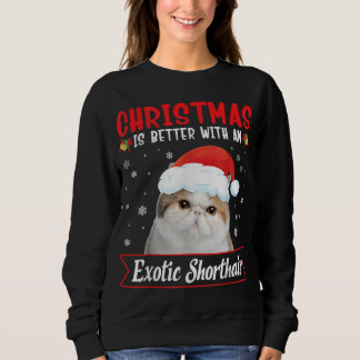 Kerstmis is beter met een exotische kortharige kat trui