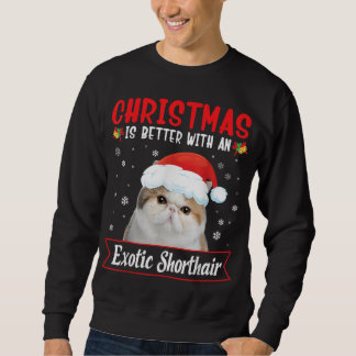 Kerstmis is beter met een exotische kortharige kat trui
