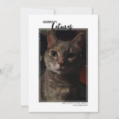 Kerstmis Kattenhuisdier Foto Vakantiewenskaart Feestdagenkaart (Voorkant)