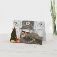Kerstmis Kerstman Tyrannosaurus Dinosaurus Scene