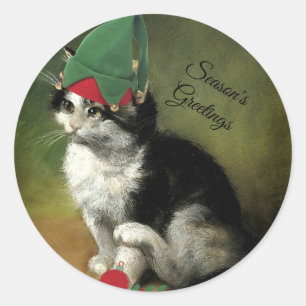 Kerstmis Kitten - Groeten van het seizoen Ronde Sticker