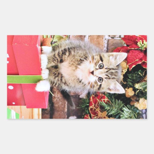 Kerstmis - Kitty Cat - Monki Rechthoekige Sticker (Voorkant)